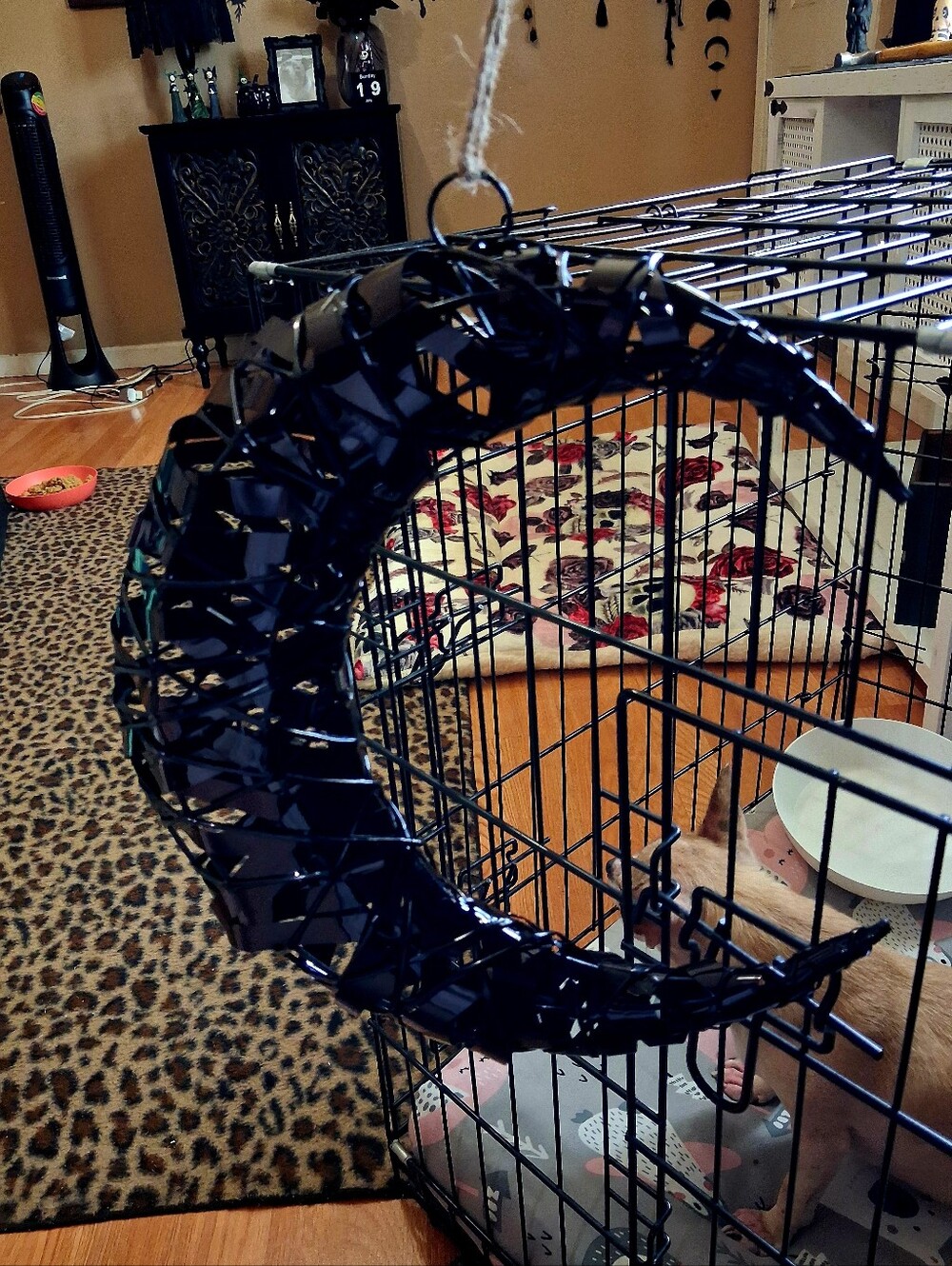 Brand New Hanging Half Moon